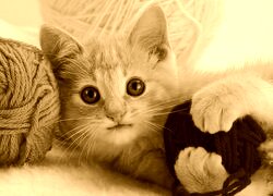 Sepia