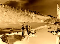 Sepia + Negatyw