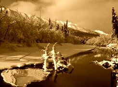 Sepia