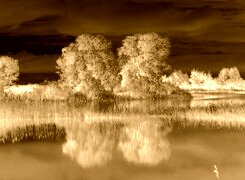 Sepia + Negatyw