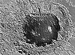 Skamielina