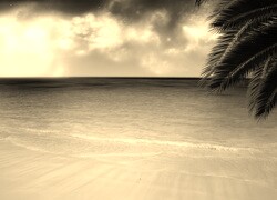 Szary + Sepia