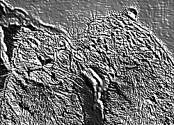 Skamielina