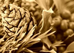 Sepia