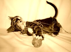 Sepia