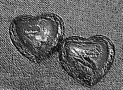 Skamielina