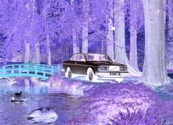 Negatyw
