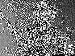 Skamielina