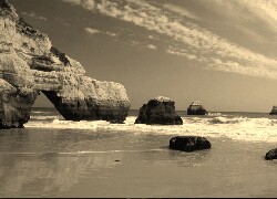 Szary + Sepia