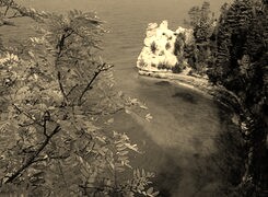 Sepia