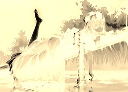 Sepia + Negatyw