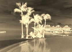 Sepia + Negatyw