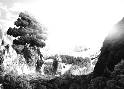Szary + Sepia