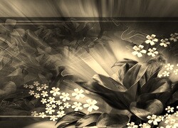 Szary + Sepia