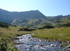 Oryginalny obrazek