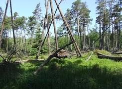 Oryginalny obrazek