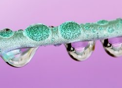 Negatyw