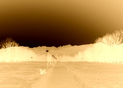 Sepia + Negatyw