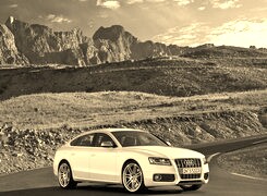 Szary + Sepia