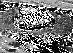 Skamielina
