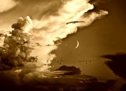 Sepia