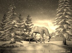 Szary + Sepia