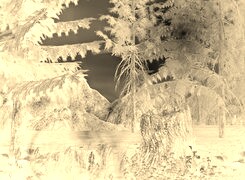 Sepia + Negatyw