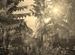 Szary + Sepia