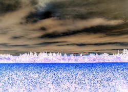 Negatyw