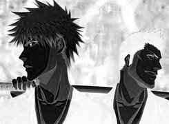 Szary + Negatyw