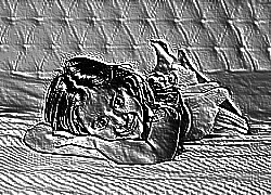 Skamielina