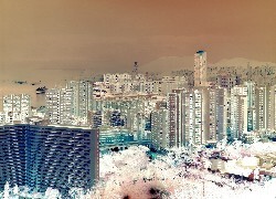 Negatyw