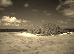 Sepia