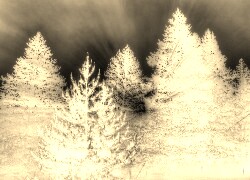 Sepia + Negatyw