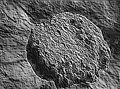 Skamielina