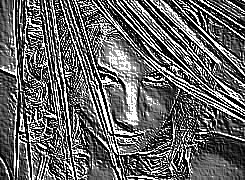 Skamielina