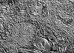 Skamielina