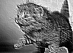 Skamielina