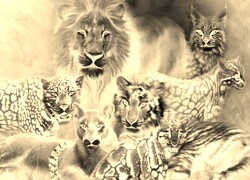 Sepia + Negatyw