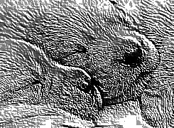 Skamielina