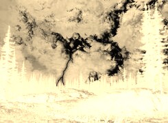 Sepia + Negatyw