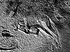 Skamielina