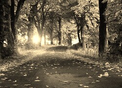 Sepia