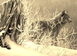 Sepia