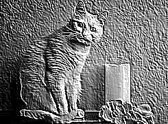 Skamielina