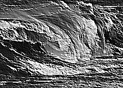 Skamielina