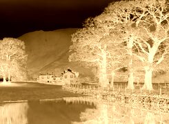 Sepia + Negatyw