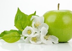 Oryginalny obrazek