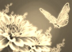Szary + Sepia