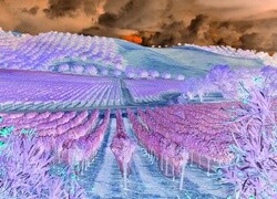 Negatyw
